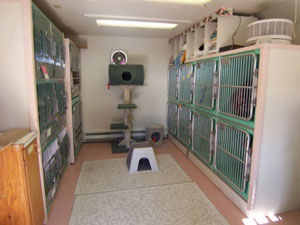 kennels-tacoma-wa