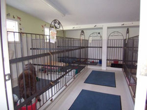 pet-kennel-tacoma-wa